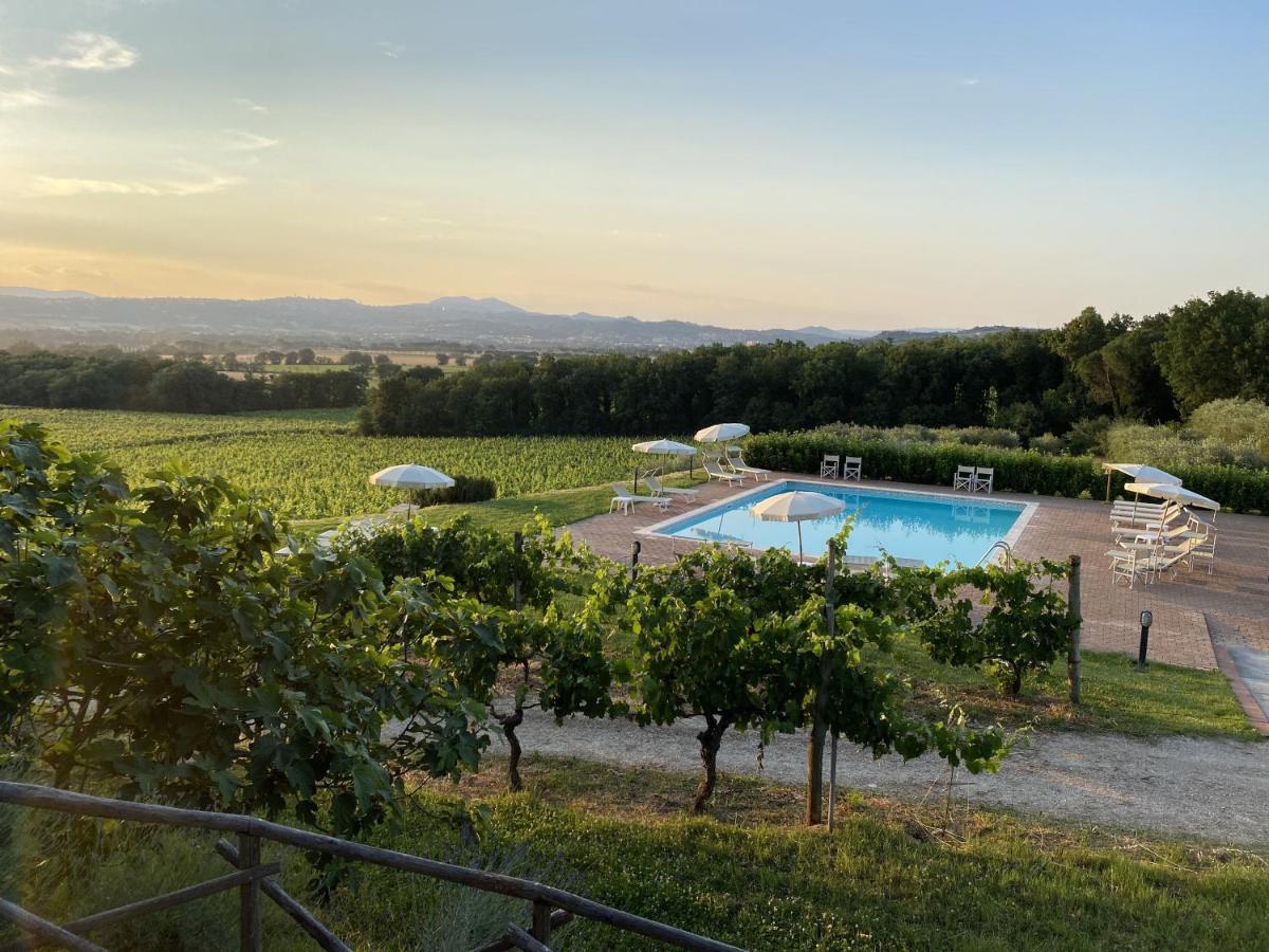 Poggio Alle Vigne Torgiano Eksteriør bilde