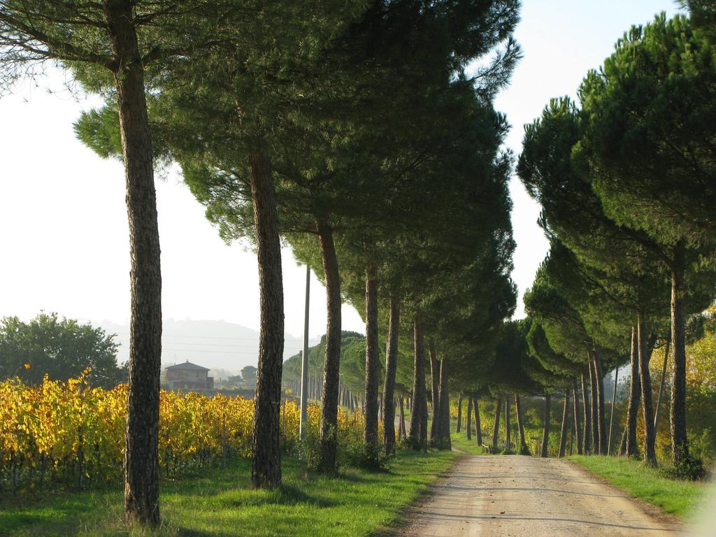 Poggio Alle Vigne Torgiano Eksteriør bilde