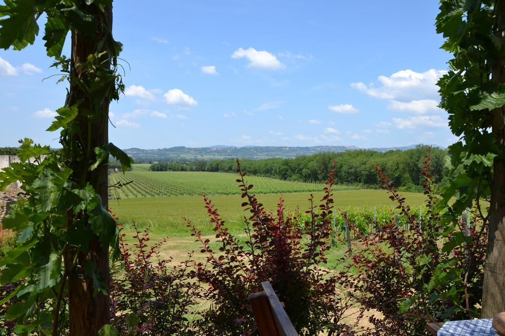 Poggio Alle Vigne Torgiano Eksteriør bilde